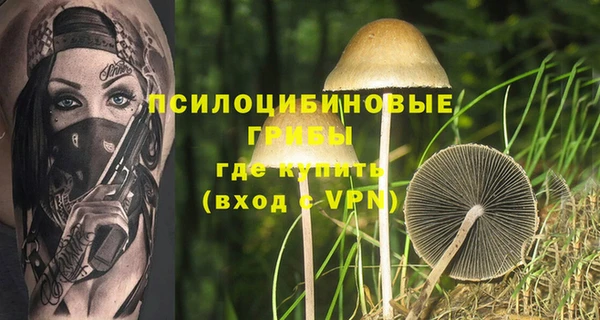 твердый Магадан