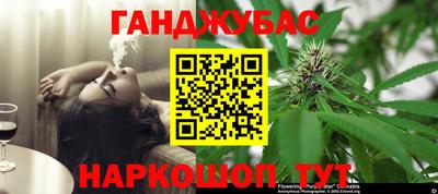 прущие грибы Беслан