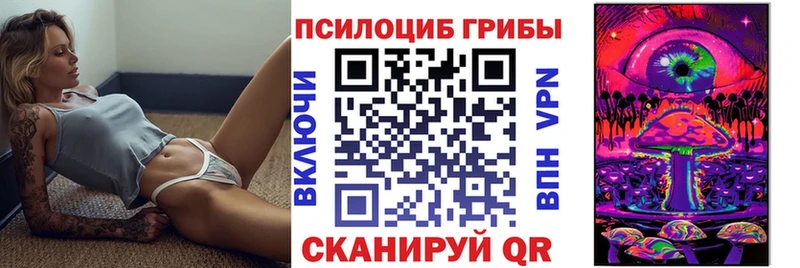Псилоцибиновые грибы Psilocybine cubensis  гидра ссылка  Новокузнецк 