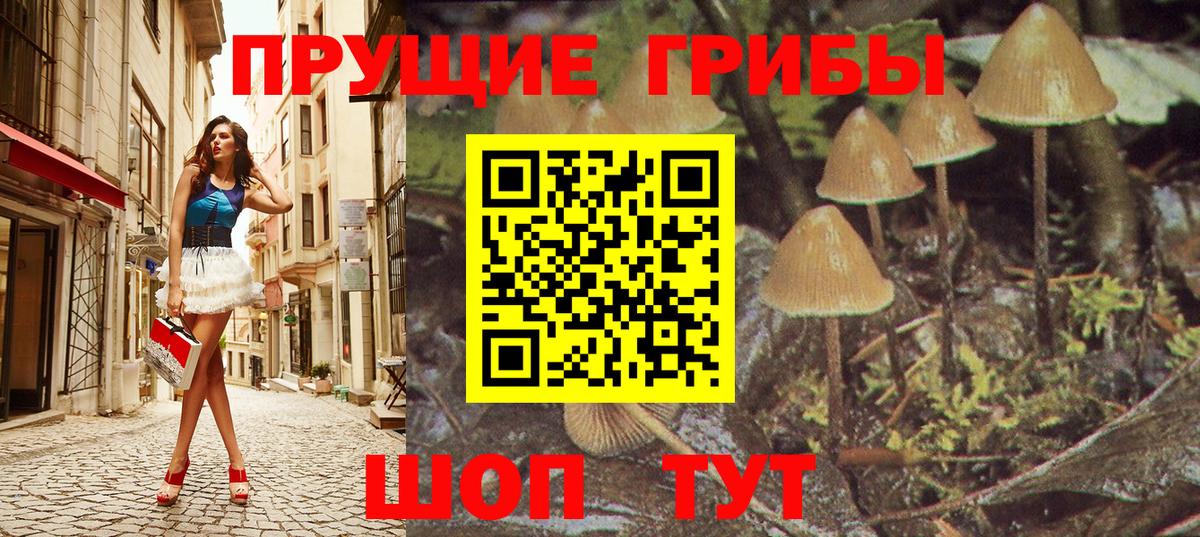 Галлюциногенные грибы GOLDEN TEACHER Новокузнецк