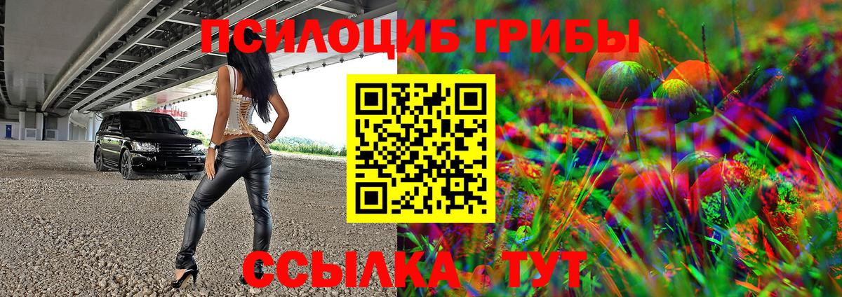 Псилоцибиновые грибы GOLDEN TEACHER Новокузнецк