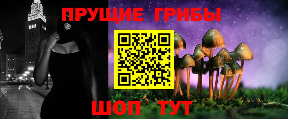 Новокузнецк  Псилоцибиновые грибы ЛСД  Вход с VPN 