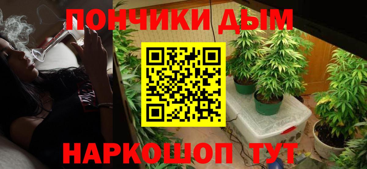 Конопля OG Kush Новокузнецк